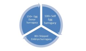 Surrogacy Cycle Kenya
